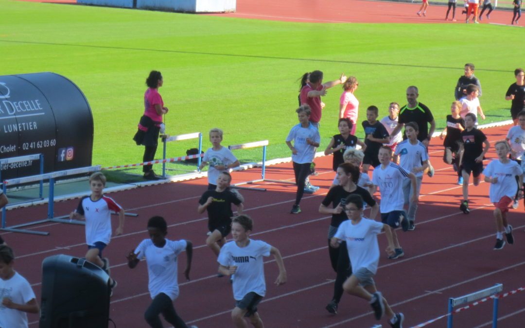 CROSS : les collégiens courent pour Sénégazelle