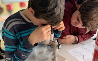 Atelier Sciences + : on observe la vie dans la terre !